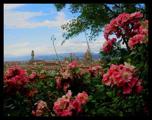 Florence panorama - ph.
                  Federica Gentile